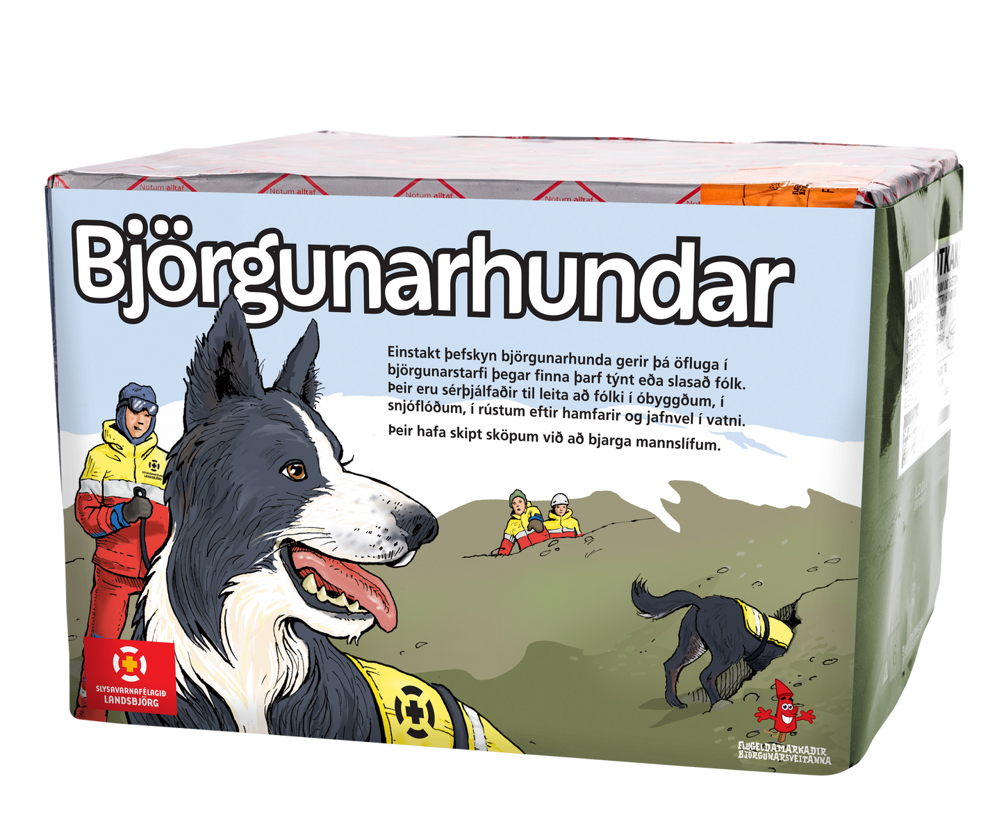 Björgunarhundar