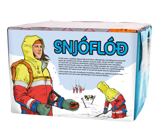 Snjóflóð