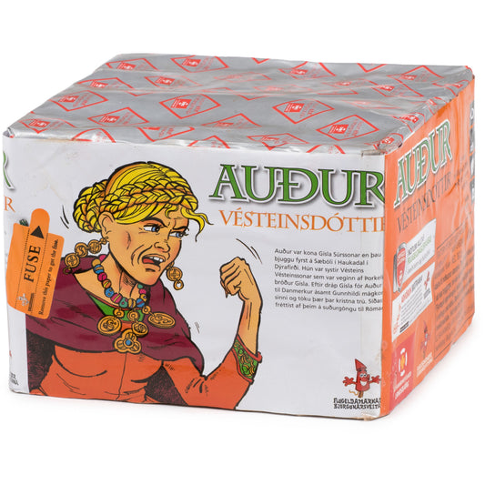 Auður Vésteinsdóttir