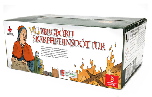 Víg Bergþóru Skarphéðinsdóttur